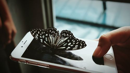 Close-up of plant against blurred background