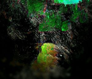 Moss covered rocks in forest