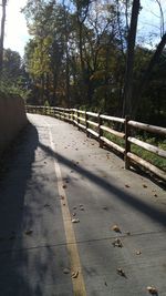 Road amidst trees