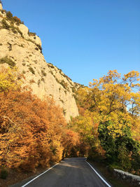 Road amidst trees against sky during autumn