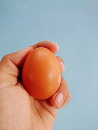 Close-up of person holding apple