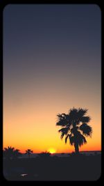 Silhouette of palm trees at sunset