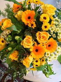 Close-up of yellow flower