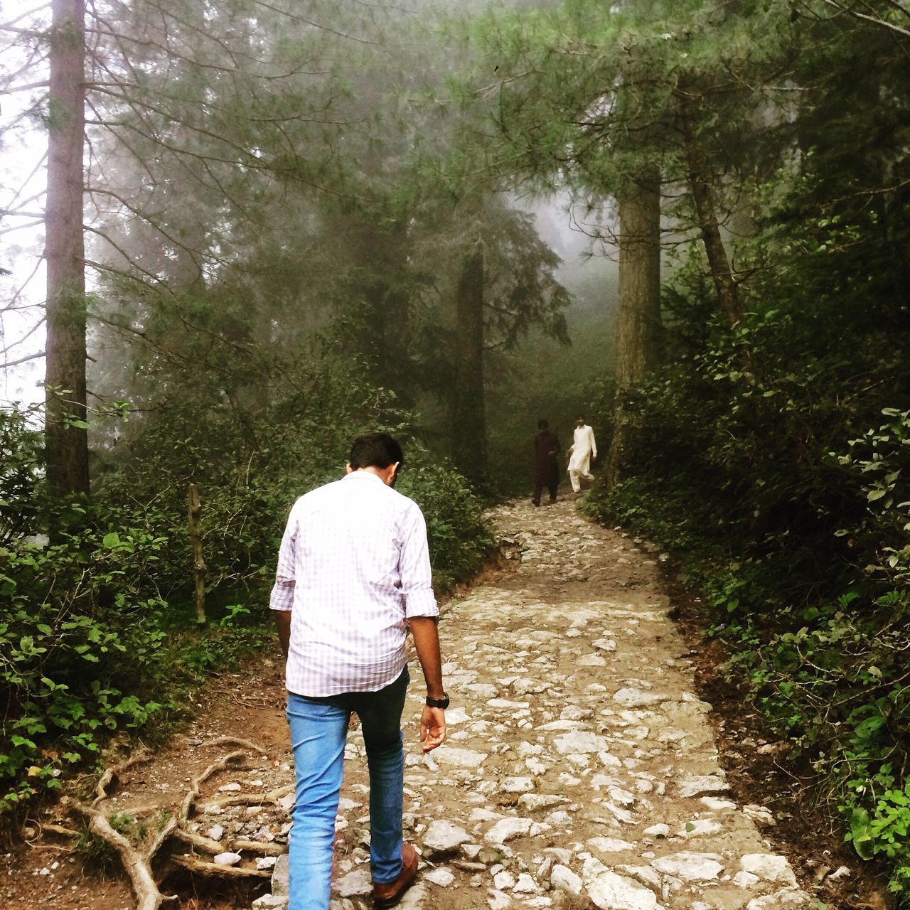 REAR VIEW OF MAN WALKING ON FOOTPATH AMIDST TREES