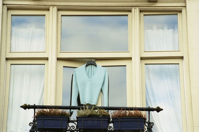 Rear view of person standing against window