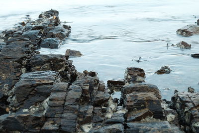 Close-up of rock by sea against sky