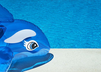 Close-up of blue inflatable dolphin toy at poolside