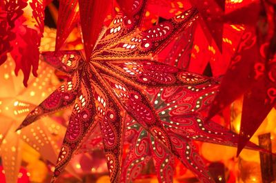 Close-up of wet red leaves on plant during autumn