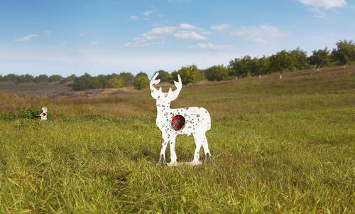 Shooting range out in the open, targets for shooting practice