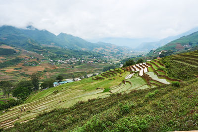 Scenic view of agricultural field against sky