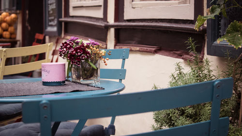 Potted plant on table by window