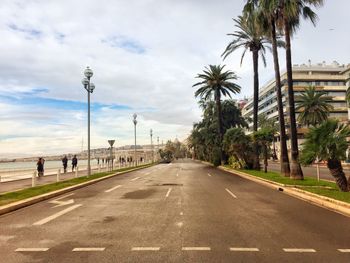 Road by palm trees against sky