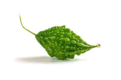 Close-up of leaf against white background