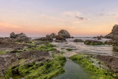 Scenic view of sea against sky during sunset