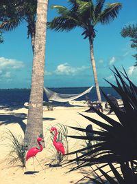 Scenic view of sea and palm trees against sky