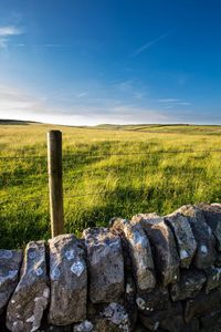 Scenic view of grassy field against cloudy sky