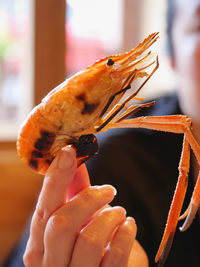 Close-up of hand holding ice cream