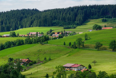 Scenic view of trees and houses on green field in wiederhofen, allgäu, germany