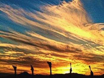 Silhouette birds against sky during sunset
