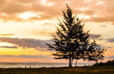 Silhouette tree by sea against sky during sunset