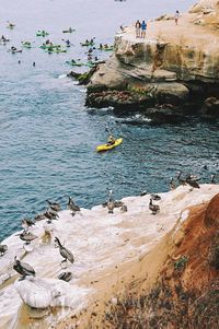 Rock formations in sea