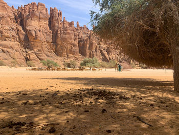 People on rocks by land against sky