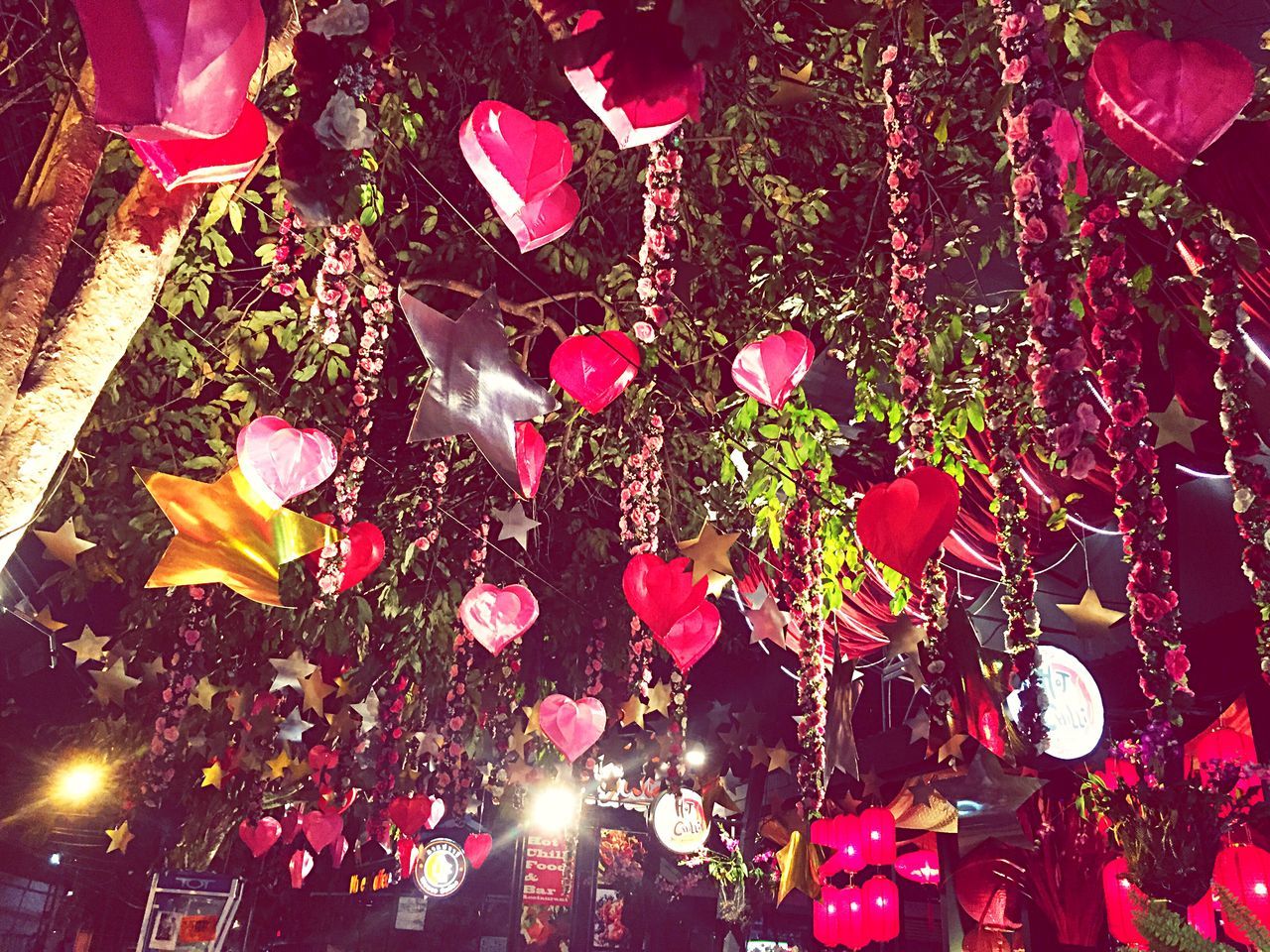 illuminated, night, flower, celebration, lighting equipment, pink color, red, abundance, outdoors, freshness, high angle view, large group of people, light - natural phenomenon, growth, nature, plant, decoration, sunlight, incidental people