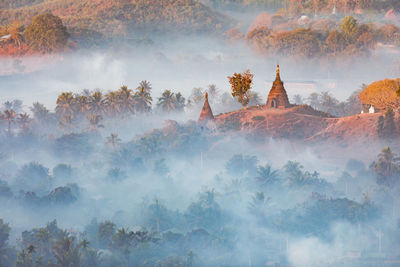 Temple amidst trees during foggy weather