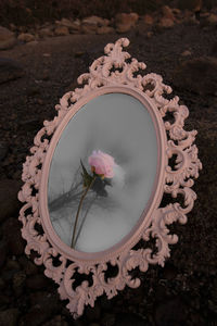 High angle view of pink flower on table