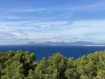 scenics - nature