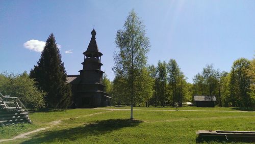 Trees on grassy field in park