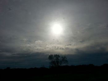 Low angle view of silhouette trees against sky