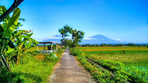 Road amidst field against sky