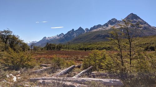 mountain