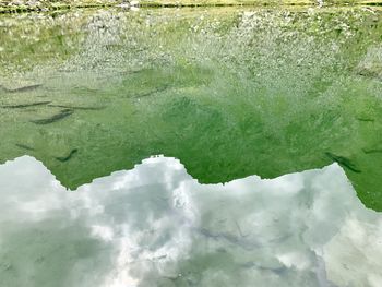 Full frame shot of water in lake