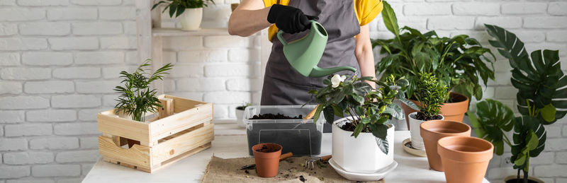 Rear view of woman holding potted plant on table