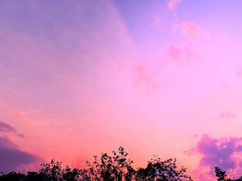 Low angle view of silhouette trees against sky during sunset