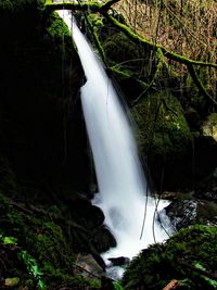 Scenic view of waterfall in forest