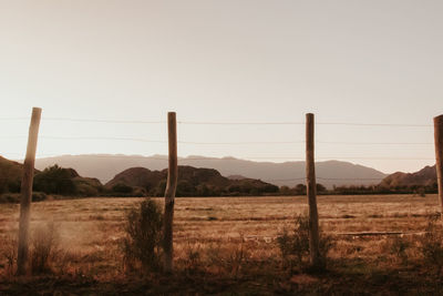 Scenic view of field against clear sky