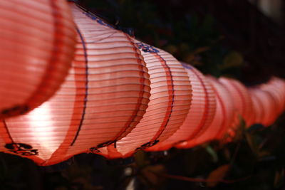 Close-up of red lantern hanging on plant