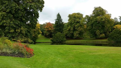 Trees in park against sky during autumn