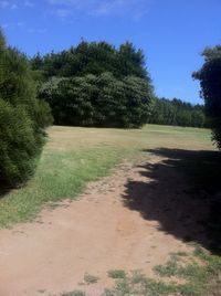 Scenic view of grassy field against sky