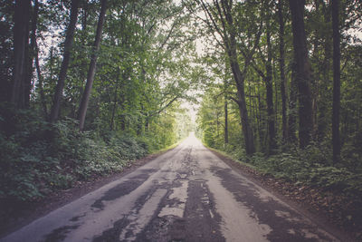 Road amidst trees in forest