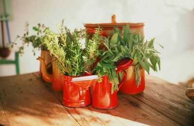 Close-up of pot on table