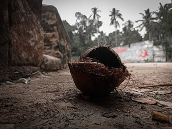 Close-up of abandoned ball
