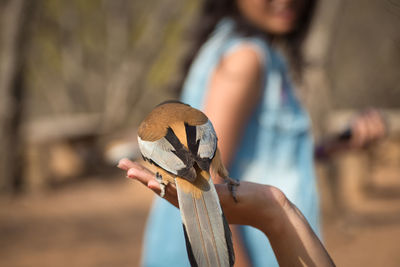 Close-up of bird perching on hand