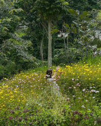 View of a flowering plants on field