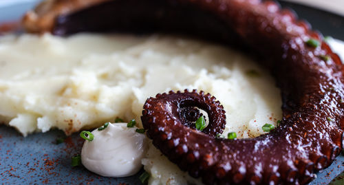 Grilled octopus tentacle serving with mashed potato, garnished with chives on a plate
