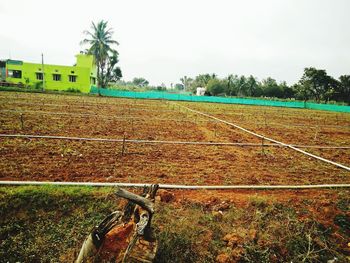 Scenic view of agricultural field against clear sky