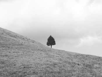 Scenic view of land against sky